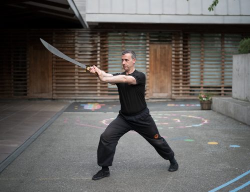 5 Reasons to Train with White Crane Kung Fu